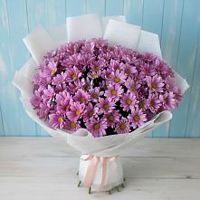 Букет цветов из:  Хризантемы в Каменке Ивановской области