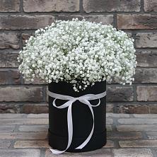 Цветочная композиция из Гипсофила в шляпной коробке в Каменке Ивановской области